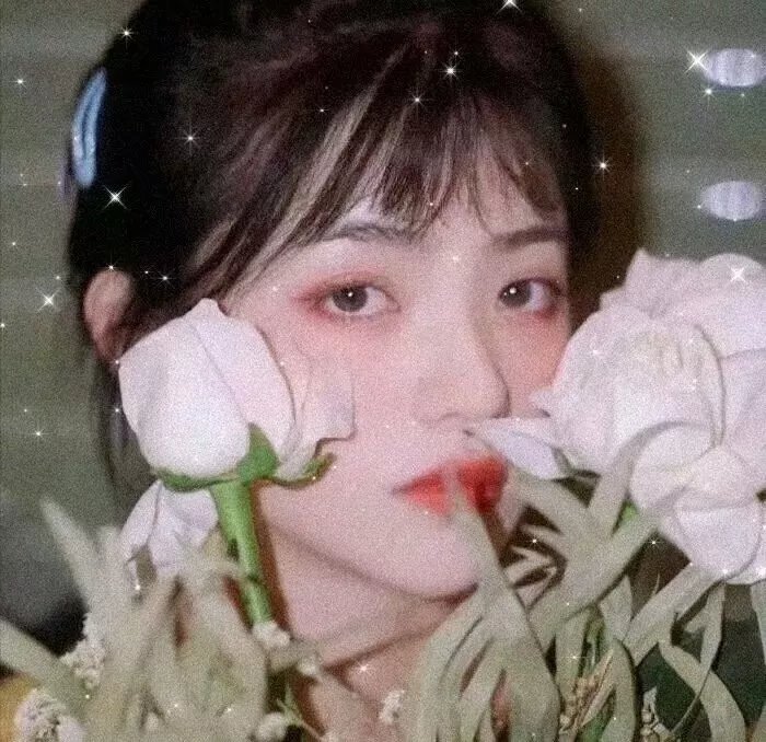 有招没招之爱情达人